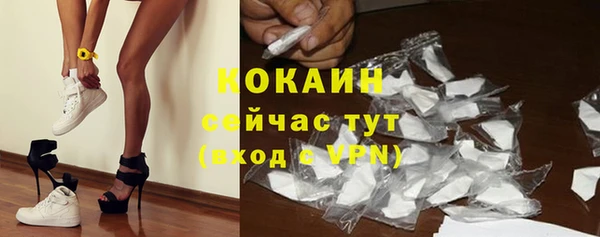 соль ск Белокуриха
