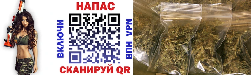Конопля индика  Зима 
